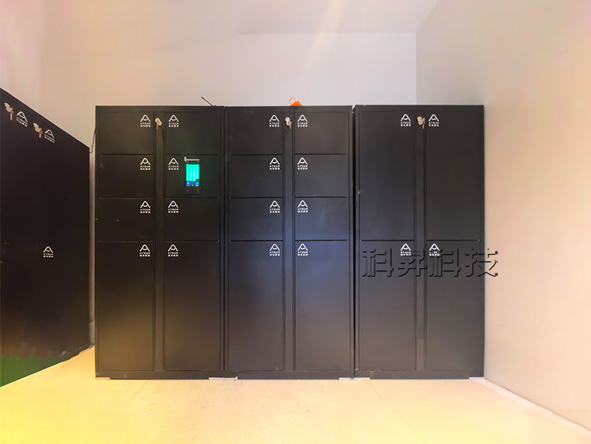 西安酒店行李寄存柜人臉識(shí)別存儲(chǔ)智能自助寄存